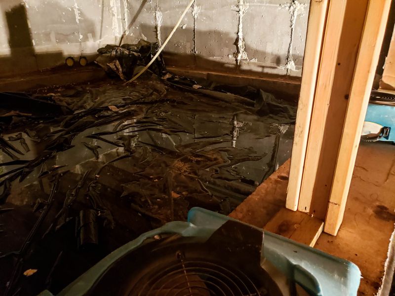 Water Removal Service in Chandler, AZ