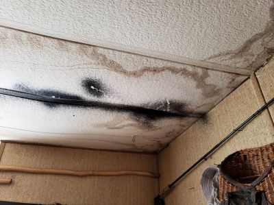Get Mold Prevention with Flood Water Damage Repair!